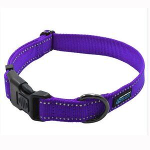 Dog Collar: NEO, Purple, Large